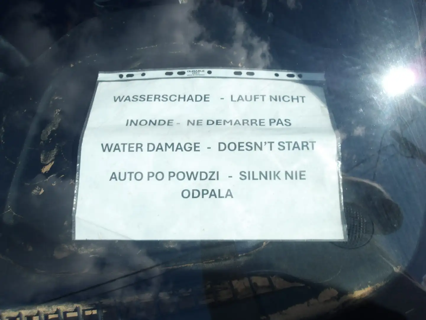 Ford Focus St-line Bleu - 2