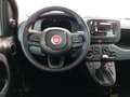 Fiat Panda Panda 1.0 FireFly S&S Hybrid Blauw - thumbnail 11