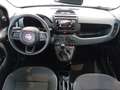 Fiat Panda Panda 1.0 FireFly S&S Hybrid Blauw - thumbnail 10