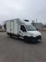 Iveco Daily 35 S 14 DPF AGile Bianco - thumbnail 1