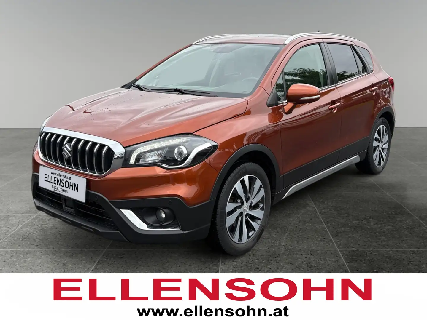 Suzuki SX4 S-Cross 8-fach bereift - 1