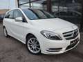 Mercedes-Benz B 180 B 180 CDI ,Alu,Klima,Xenon,Navi,Shz,Tel,AHK,T-Ledr Weiß - thumbnail 3