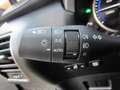 Lexus NX 300 h Executive Line Leder, Induktion, BT Grigio - thumbnail 23