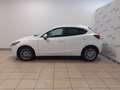 Mazda 2 1.5 90 CV Skyactiv-G M-Hybrid Exceed Bianco - thumbnail 8
