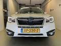 Subaru Forester 2.0 Luxury AUT PANORAMA ADAP. CRUISE BOM VOL 2DE E Wit - thumbnail 4