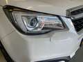 Subaru Forester 2.0 Luxury AUT PANORAMA ADAP. CRUISE BOM VOL 2DE E Wit - thumbnail 27