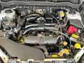 Subaru Forester 2.0 Luxury AUT PANORAMA ADAP. CRUISE BOM VOL 2DE E Wit - thumbnail 35