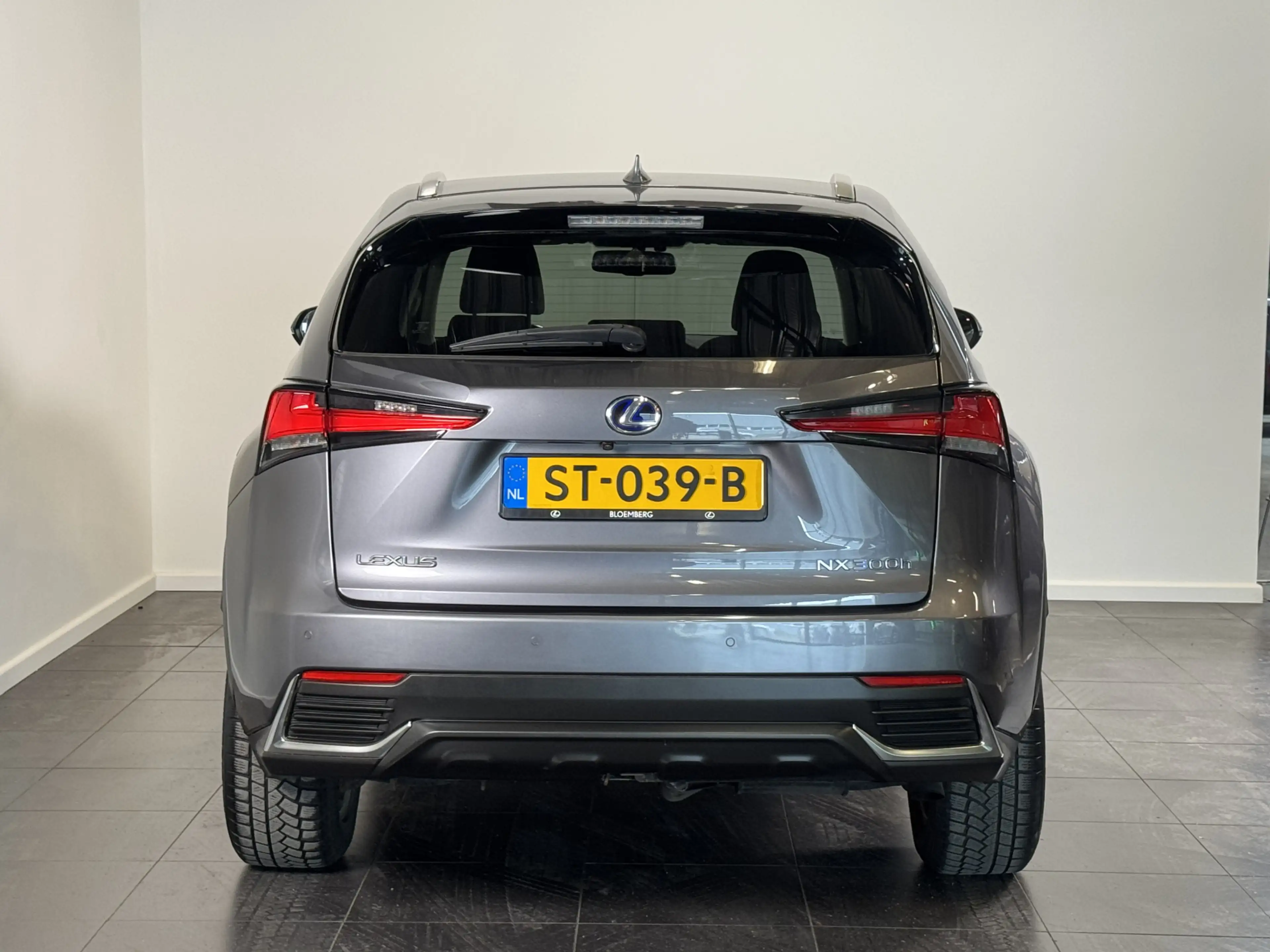 Lexus NX 300h AWD Luxury Line | Schuif-/kantel dak | Elektrische — photo 6