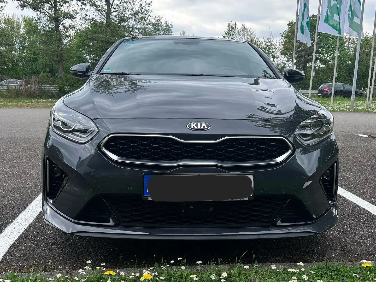 Kia ProCeed / pro_cee'd ProCeed 1.5 T GT-Line mit Klappenauspuff Grau - 2