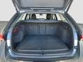 Skoda Octavia Selection TSI mHEV DSG Grau - thumbnail 16