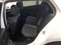 Volkswagen Golf VIII 2.0 TDI DSG Goal Navi DAB+ LEDPlus Fro Weiß - thumbnail 4