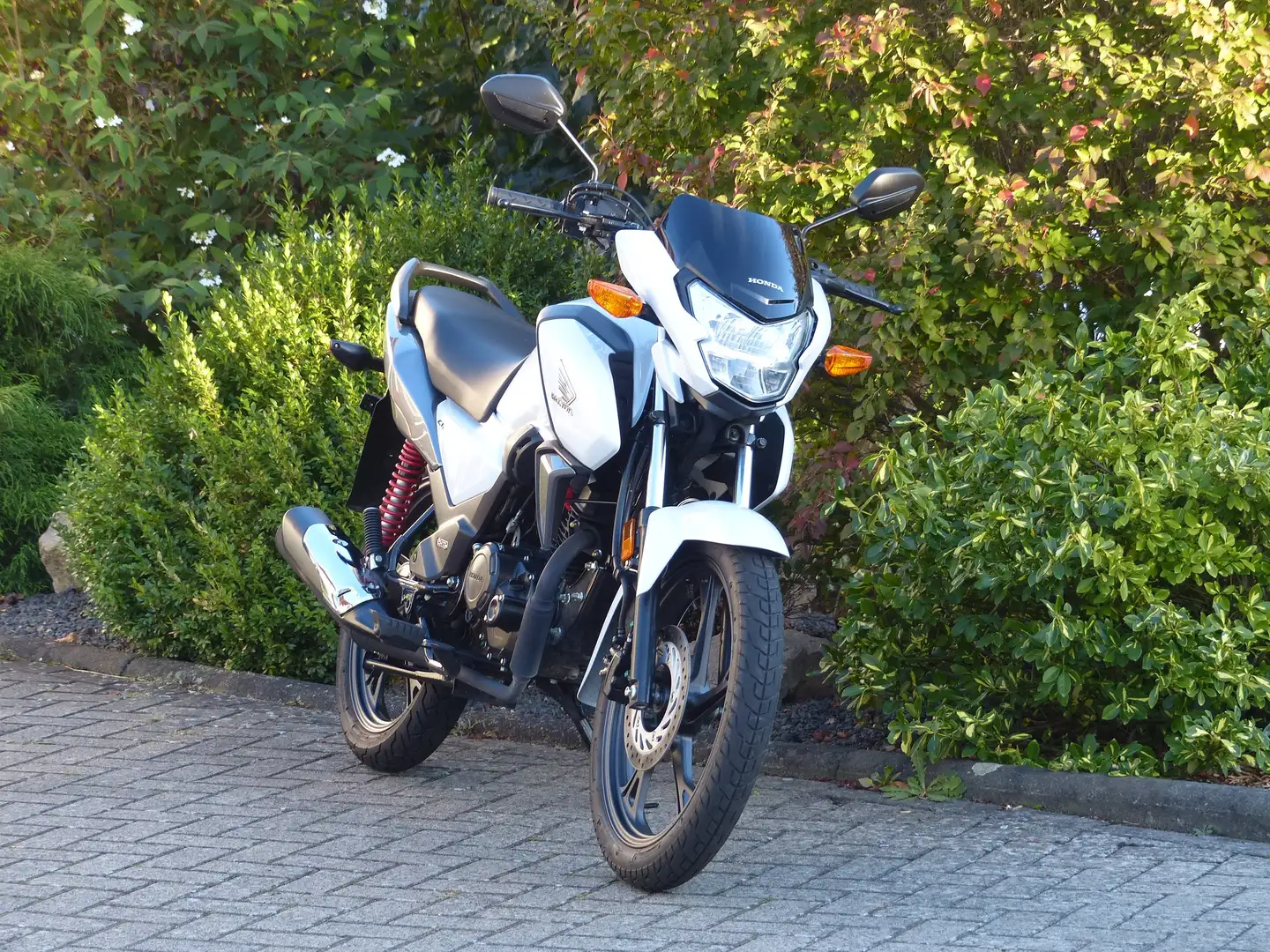 Honda CB 125 F Fehér - 2