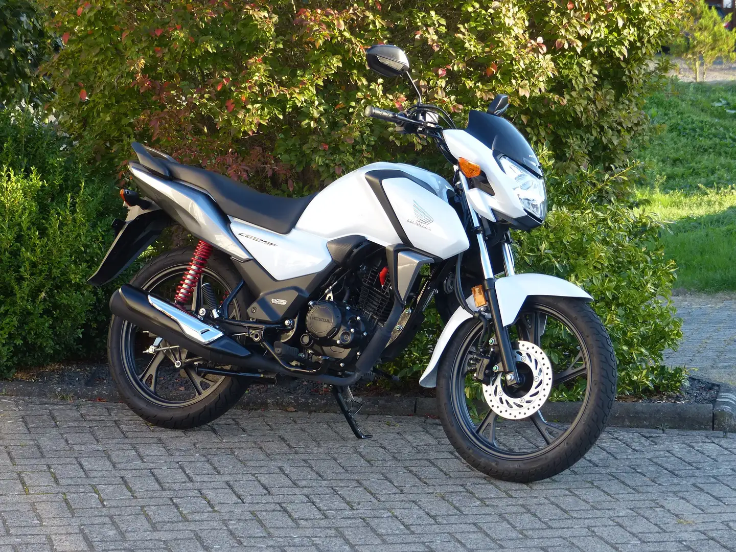 Honda CB 125 F Fehér - 1