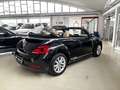Volkswagen Maggiolino Maggiolino Cabrio  TDI DSG UNICO PROPRIETARIO Nero - thumbnail 8