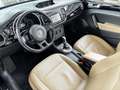 Volkswagen Maggiolino Maggiolino Cabrio  TDI DSG UNICO PROPRIETARIO Nero - thumbnail 11