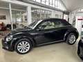 Volkswagen Maggiolino Maggiolino Cabrio  TDI DSG UNICO PROPRIETARIO Nero - thumbnail 5