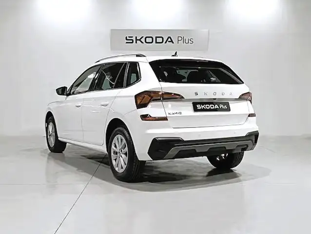 Skoda Kamiq view 2