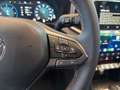 Volkswagen Amarok Pan Americana 3.0 TDI*STANDHZG,LEDER,H&K,AHK* - thumbnail 16