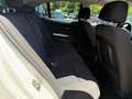 BMW 320 d ED Edition (Export!!!) Bianco - thumbnail 15