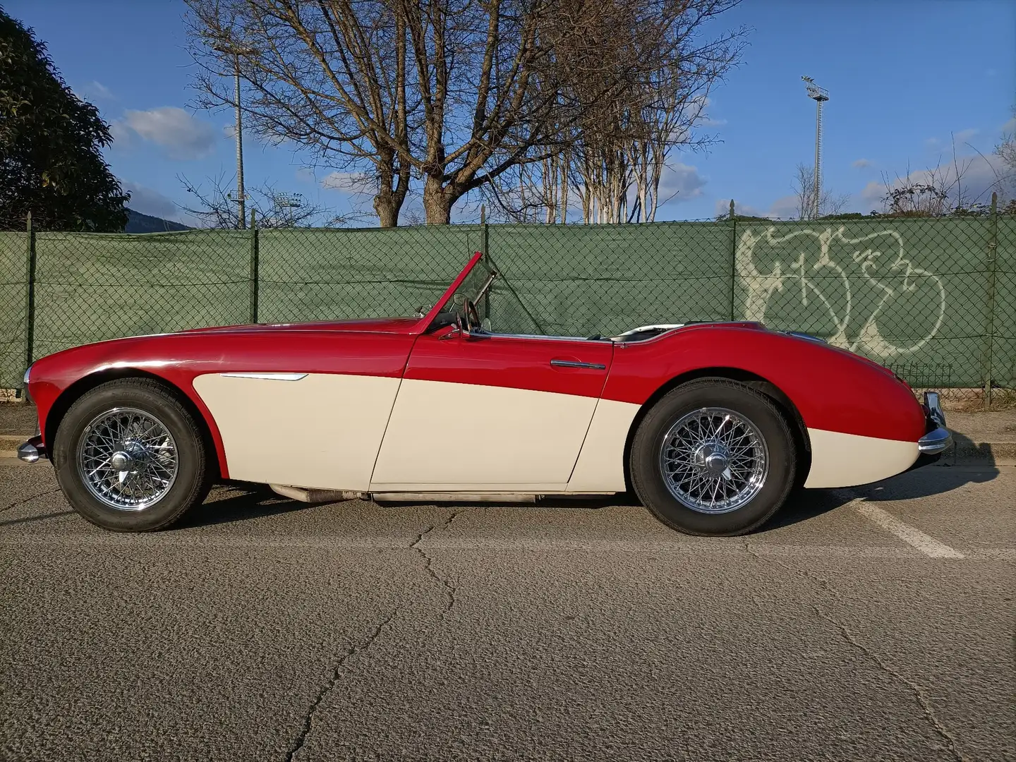 Austin-Healey 3000 mk1 - 2