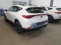 CUPRA Formentor 1,5 TSI NAVI AHK SHZ Weiß - thumbnail 5
