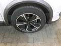CUPRA Formentor 1,5 TSI NAVI AHK SHZ Weiß - thumbnail 10