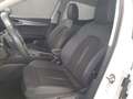 CUPRA Formentor . Weiß - thumbnail 9