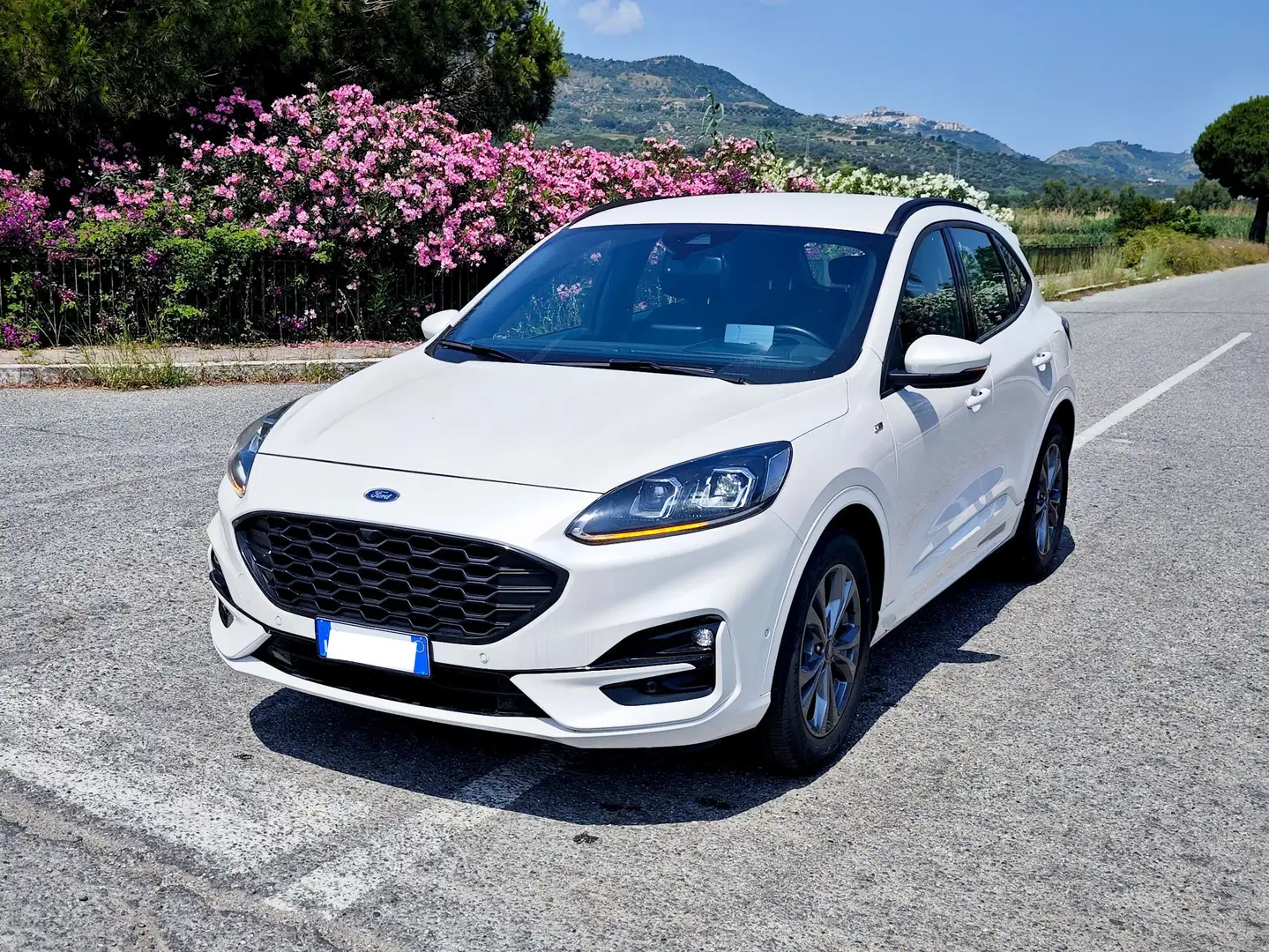 Ford Kuga Kuga 2.5 full hybrid ST-Line X 2wd 190cv cvt Blanc - 1