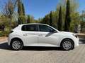 Peugeot 208 BlueHDi 73kW (100CV) Active Blanco - thumbnail 6