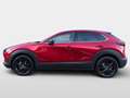 Mazda CX-30 2.5L e-SKYACTIV G 140ps 6AT 2WD HOMURA Rot - thumbnail 6