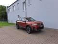 Dacia Bigster Journey Hybrid 155*Winter-Plus + City-Pa Braun - thumbnail 2