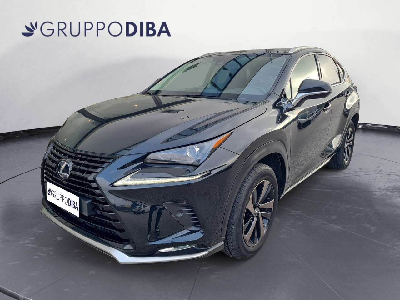 Lexus NX 300h I 2018 300h 2.5 Premium 4wd cvt