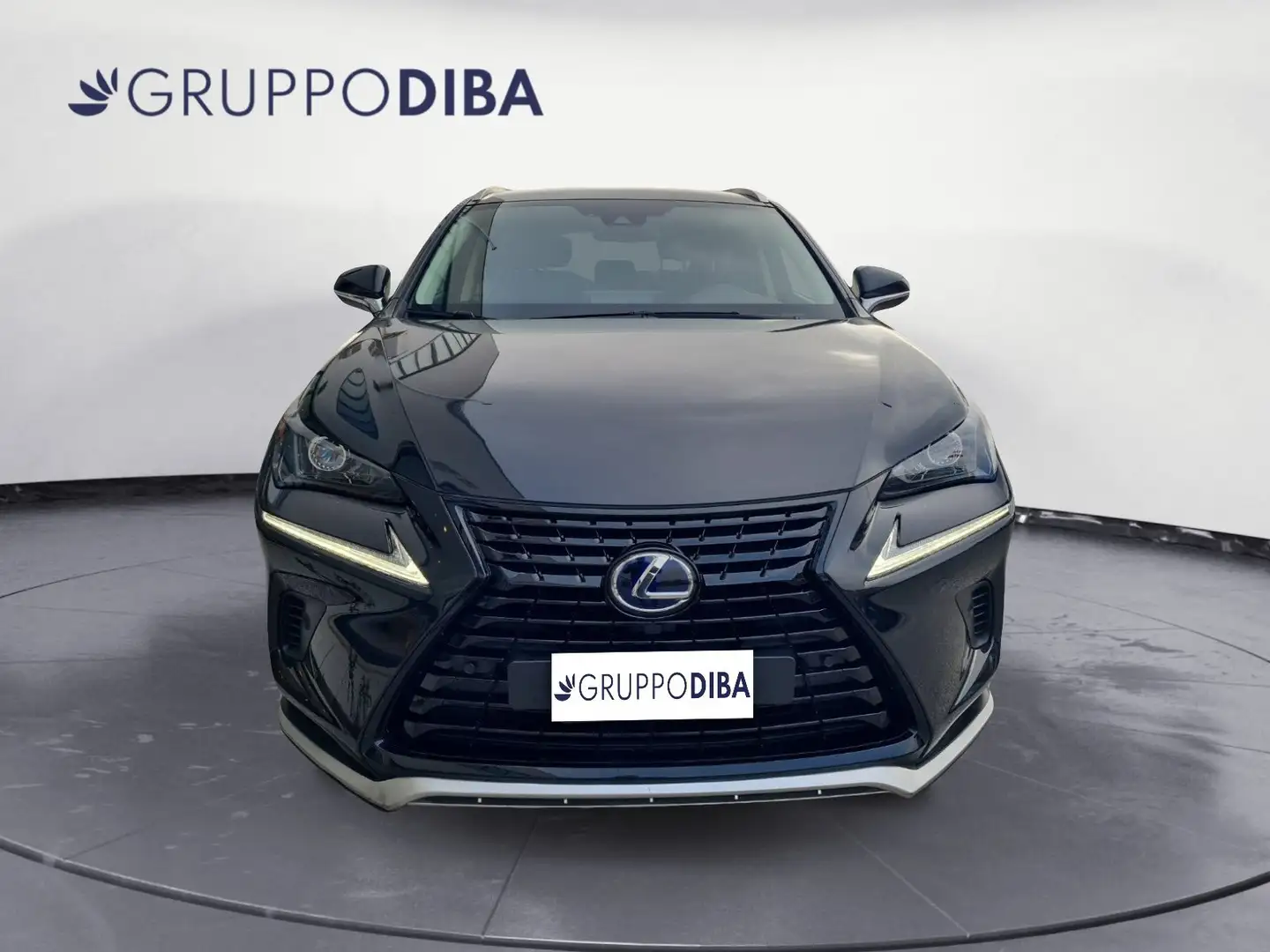 Lexus NX 300h I 2018 300h 2.5 Premium 4wd cvt - 2