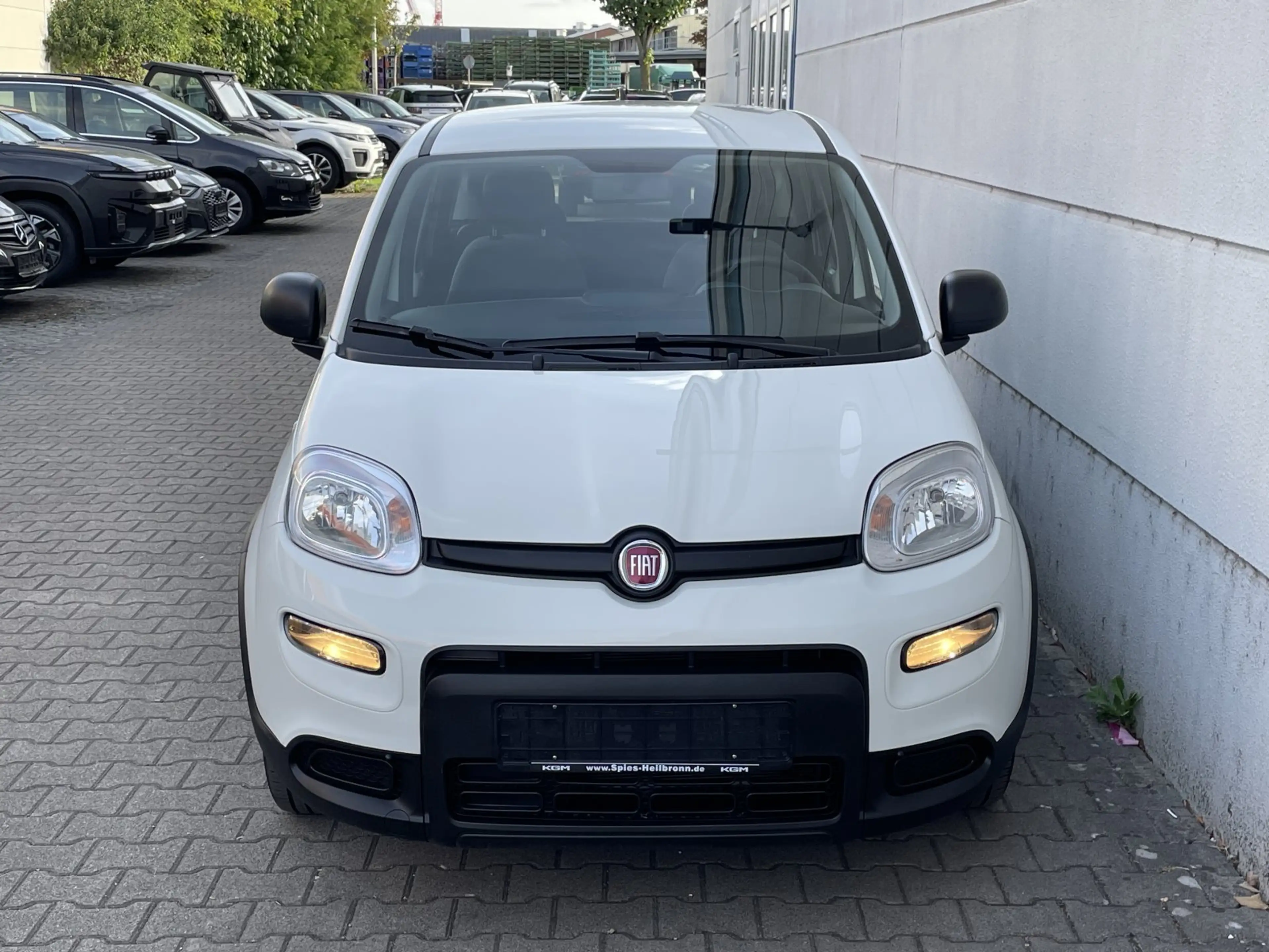 Fiat Panda 1.0 Mild Hybrid GSE Base Klima DAB — photo 10