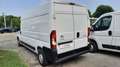 Citroen Jumper 35 BlueHDi 165 S&S PLM-TM Furgone Bianco - thumbnail 4