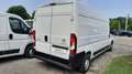 Citroen Jumper 35 BlueHDi 165 S&S PLM-TM Furgone Bianco - thumbnail 6