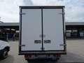 Opel Movano 35QMaxi 140hp PLungo Cella-20° DoppiaTemperatur Grigio - thumbnail 4