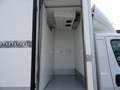 Opel Movano 35QMaxi 140hp PLungo Cella-20° DoppiaTemperatur Grigio - thumbnail 6