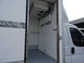 Opel Movano 35QMaxi 140hp PLungo Cella-20° DoppiaTemperatur Grigio - thumbnail 10