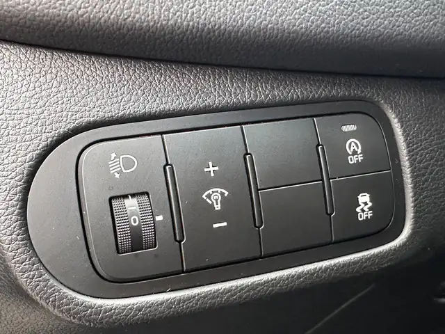 Kia Carens view 19