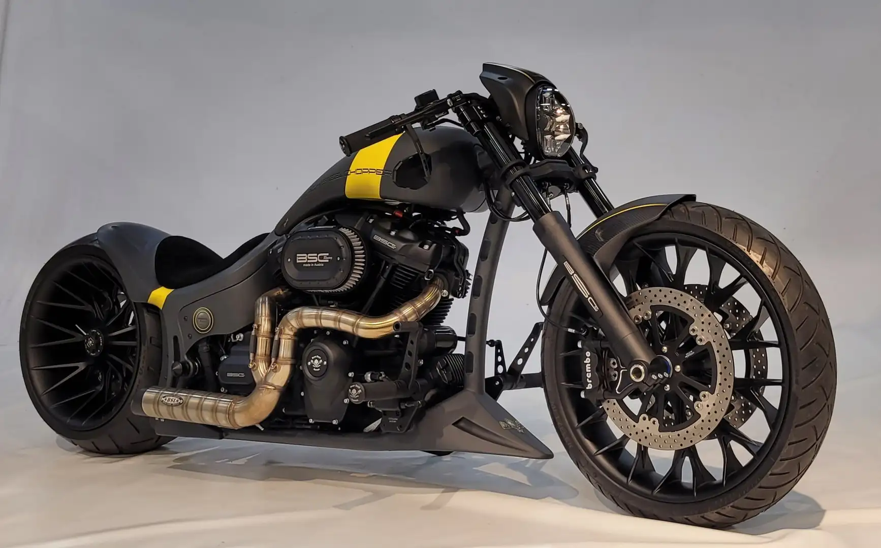 Harley-Davidson Softail Custom Bike Grau - 1