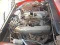 Lotus V8 E C L A T Rouge - thumbnail 9