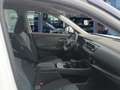 Nissan X-Trail Visia EU6d 1.5 VC-T MHEV 163 PS AUTOMATIK LM-FELGE Blanco - thumbnail 18