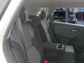 Nissan X-Trail Visia EU6d 1.5 VC-T MHEV 163 PS AUTOMATIK LM-FELGE Blanco - thumbnail 19