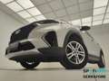 Hyundai TUCSON II 1.6 crdi 48V Exellence Leather Pack 2wd 136cv Grau - thumbnail 3