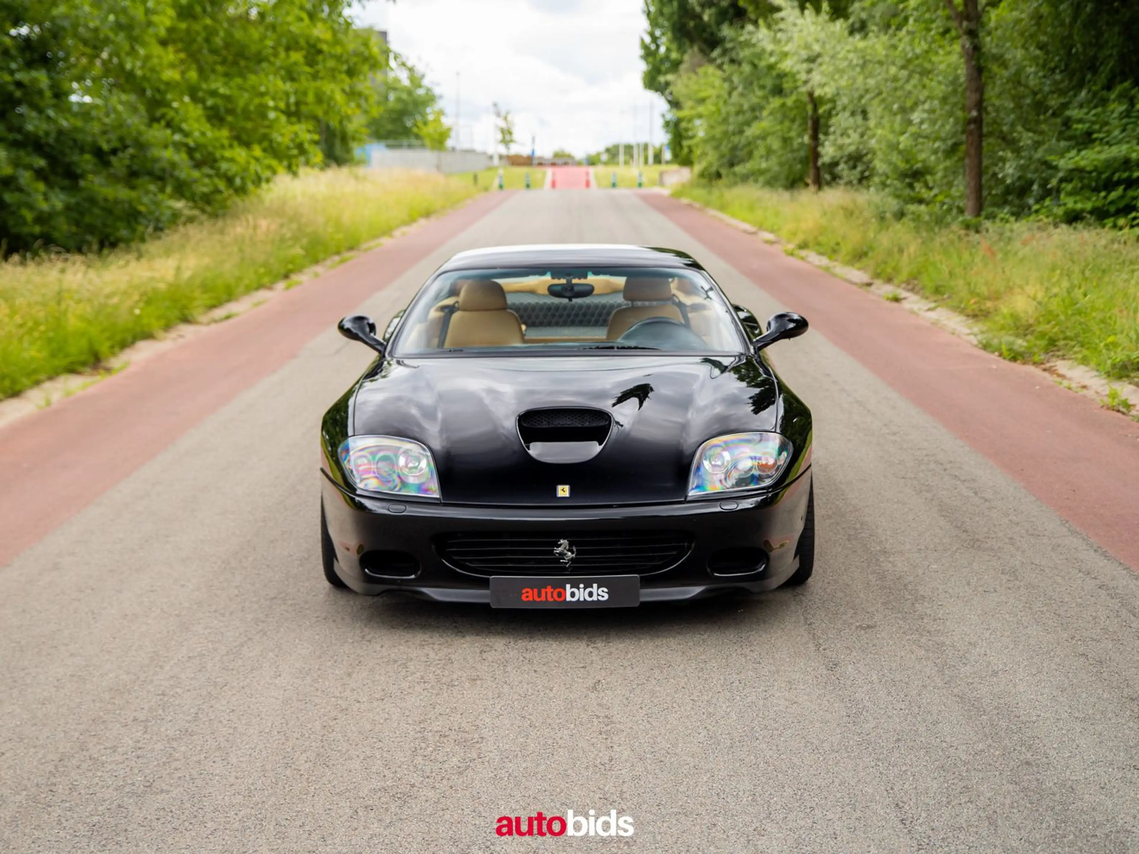 Ferrari 575 575M Maranello 5.7i V12 48v F1