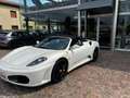 Ferrari F430 Spider F1 - CARBOCERAMICI - CARBONIO Weiß - thumbnail 23