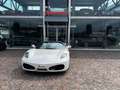 Ferrari F430 Spider F1 - CARBOCERAMICI - CARBONIO Weiß - thumbnail 1