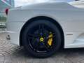 Ferrari F430 Spider F1 - CARBOCERAMICI - CARBONIO Weiß - thumbnail 7