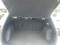 Ford Kuga Kuga 1.5 ecoblue Titanium X 2wd 120cv auto Wit - thumbnail 15